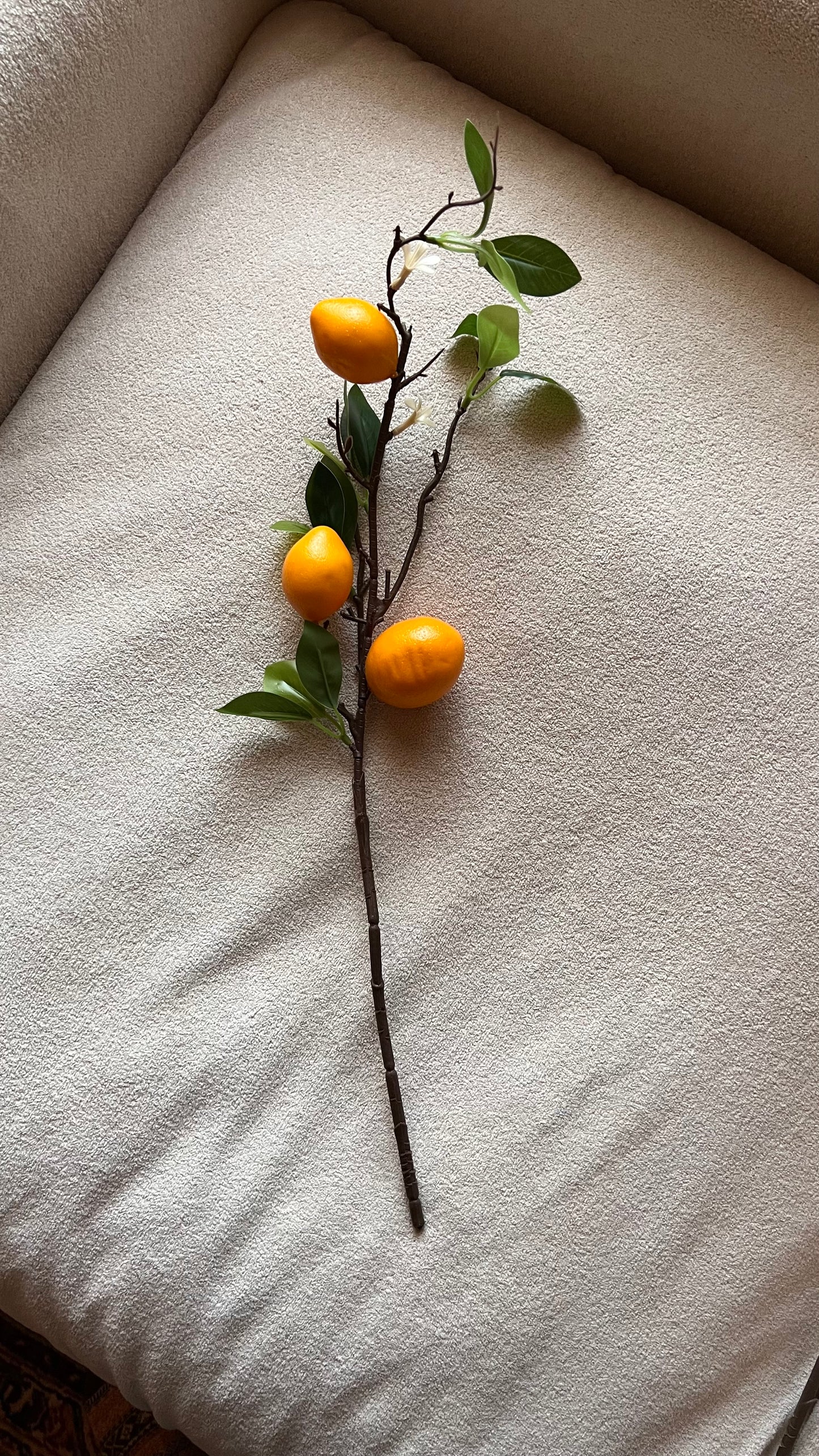 Faux Lemon branch( Preorder)