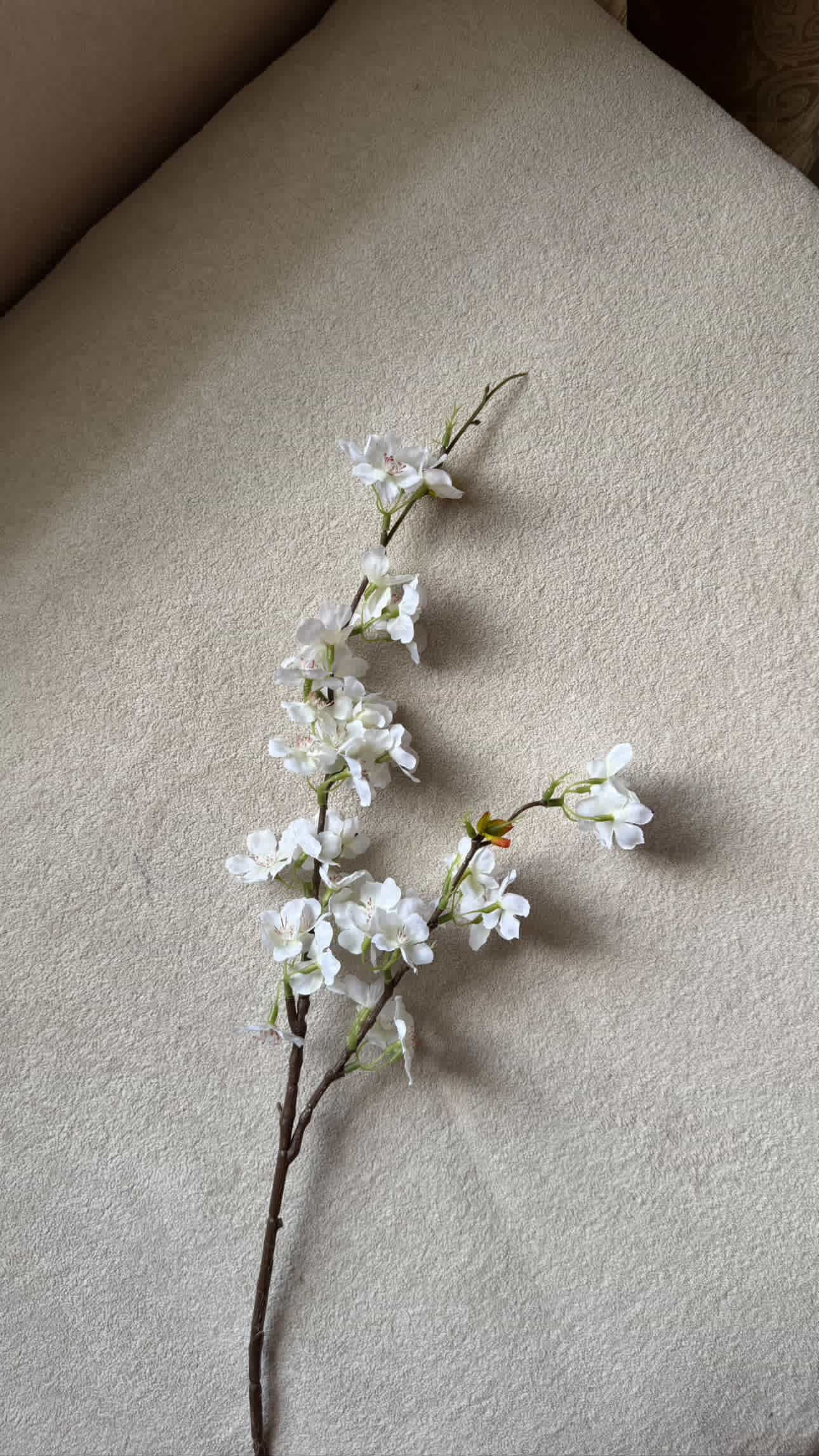 Cherry blossom stem