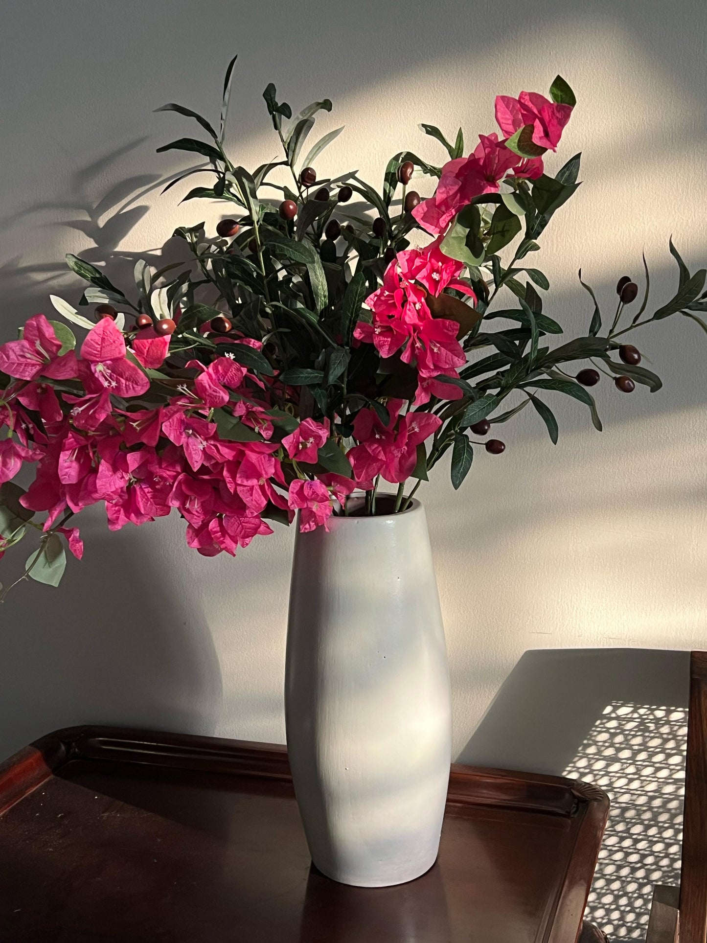 Bougainvillea stems