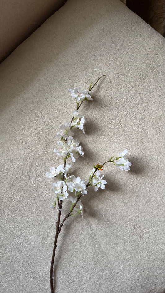 Cherry blossom stem