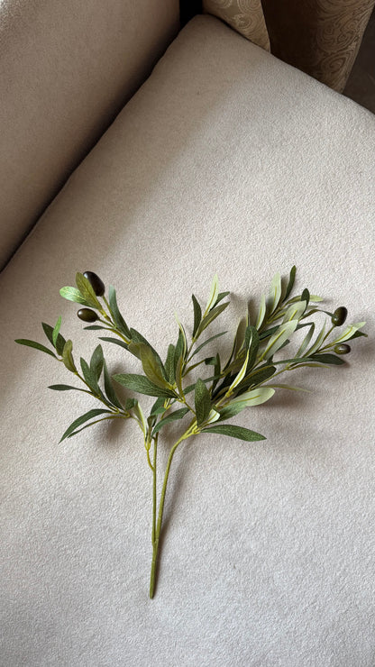 Olive branches
